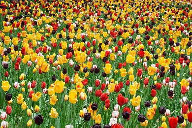 小而强大的4X之选——《罗马陨落》将于8.12正式发售